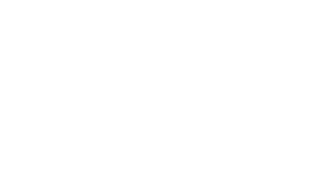 logo style premium
